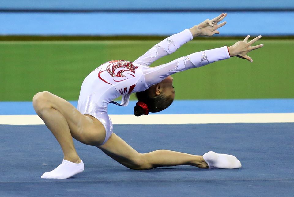 10717575_739799872757476_593225455_n