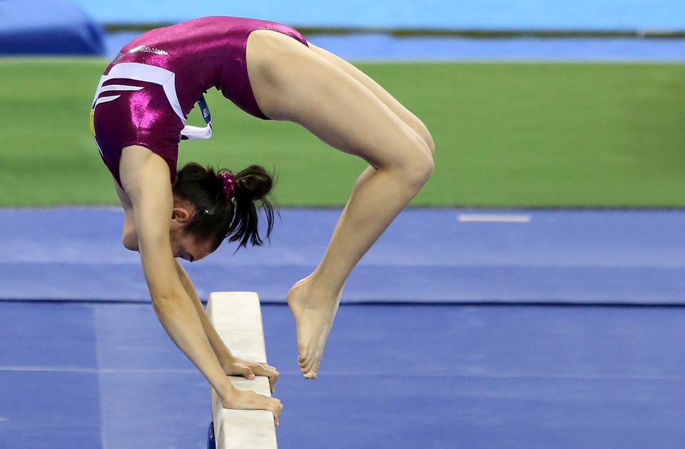 10719497_739713089432821_1279440323_n