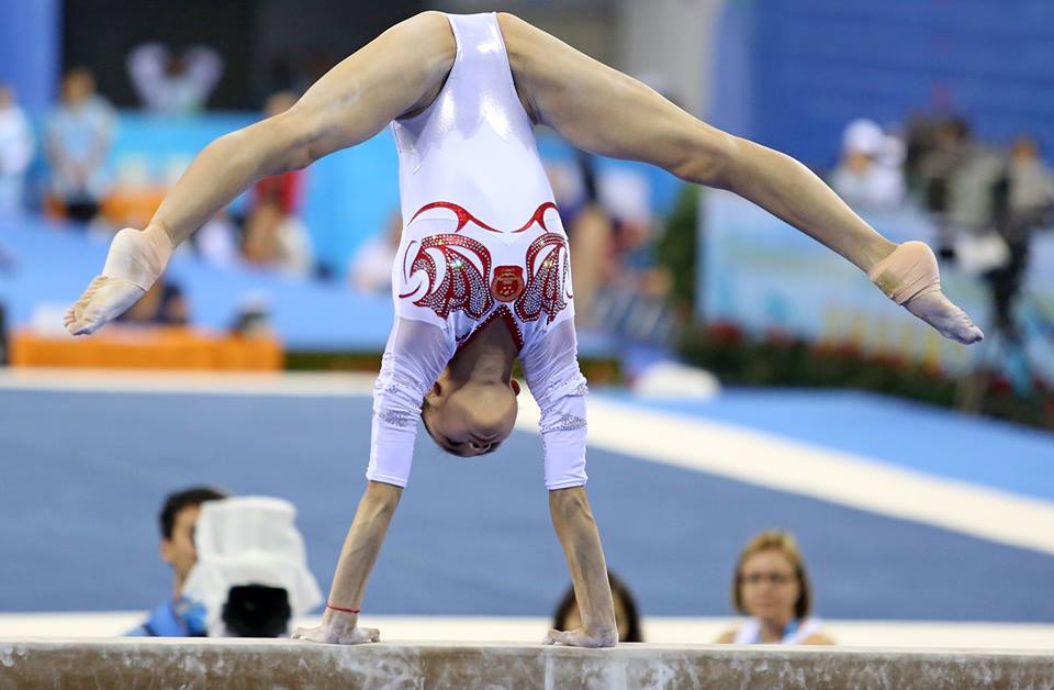 10721382_739796672757796_167628345_n